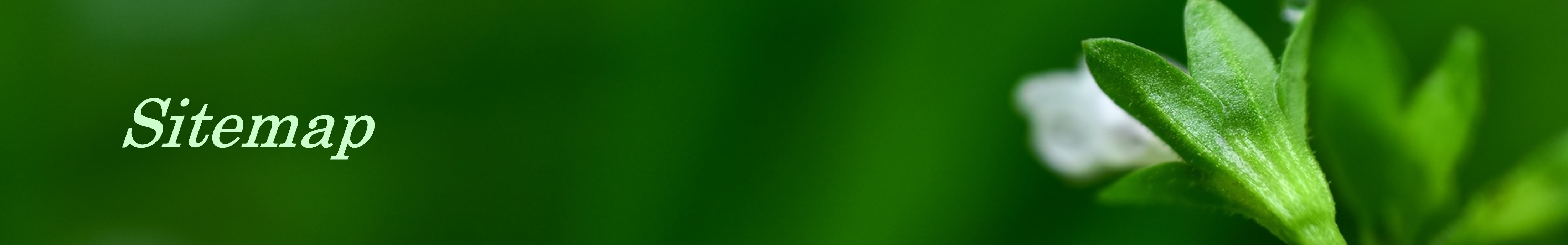 サイトマップ ヘッダー画像